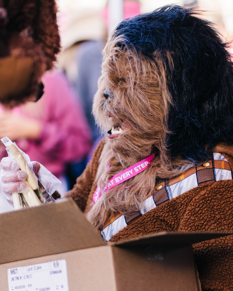 Only at the 3-Day will you find a Wookiee serving up cheese sticks🌌🧀