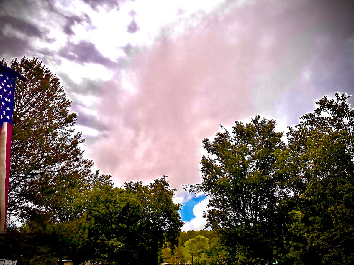 Leslie Gaddy (@leslie_gaddy) on Twitter photo 