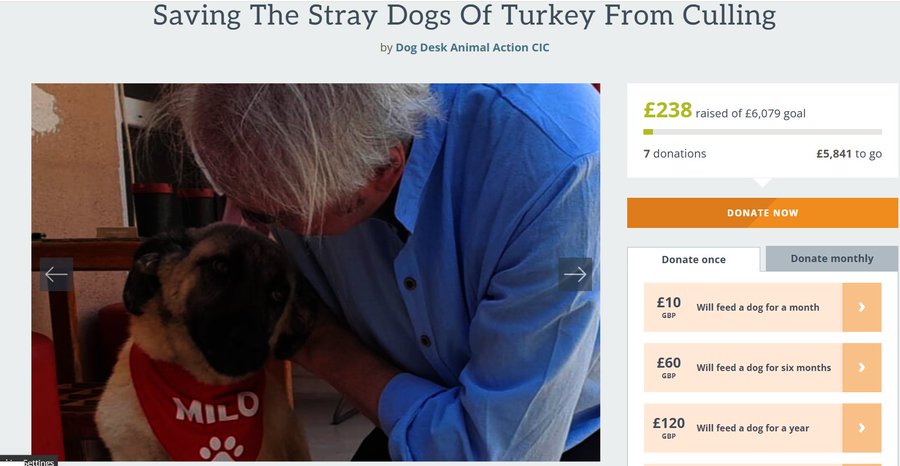 Dog Desk Animal Action tweet media