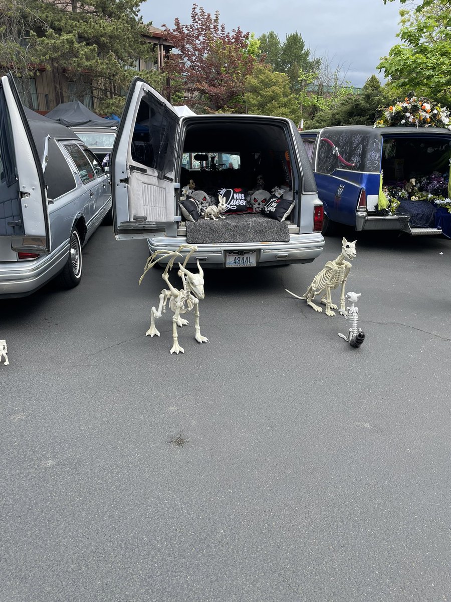 wiccaburr's tweet image. #crypt25 #crypticonseattle