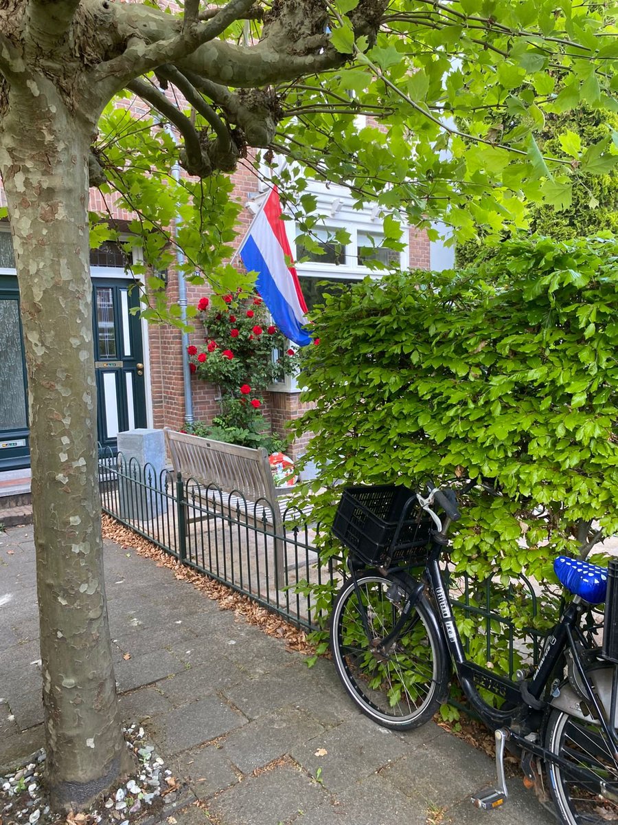 День поминовения мёртвых (нидерл. Dodenherdenking) — день памяти павших, который проводится в Нидерландах ежегодно 4 мая. Изначально он был посвящён исключительно голландцам, погибшим во Второй мировой войне, но с 1961 года поминают также жертв других военных конфликтов.