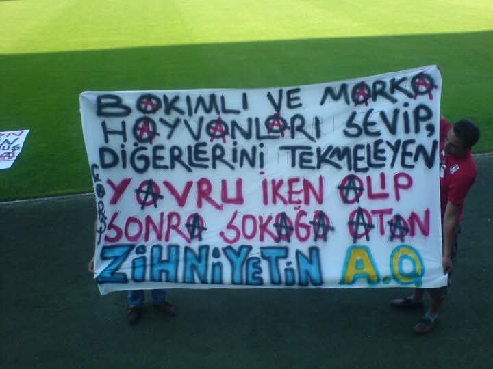 PHOTO | Beşiktaş, Turkey