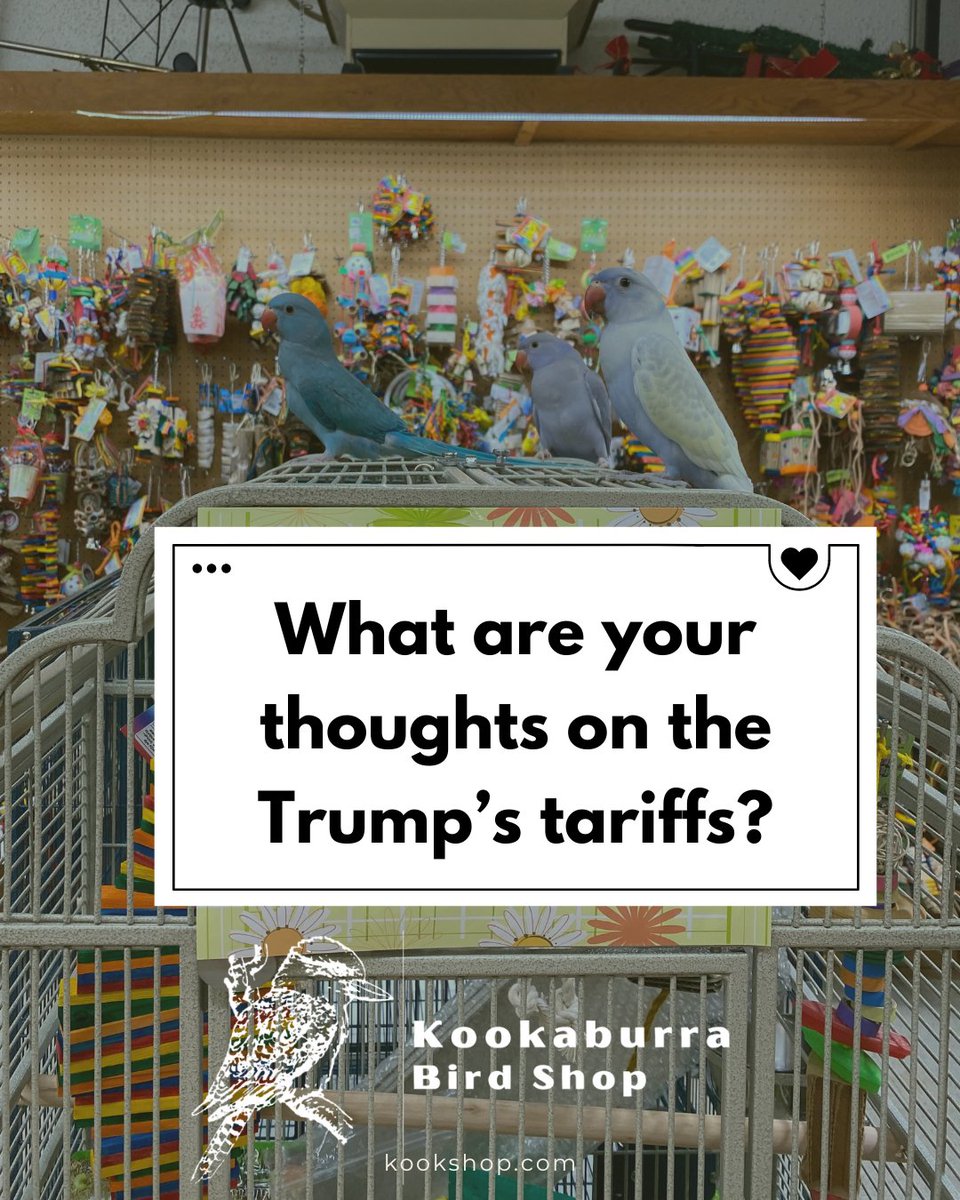 BeckleyforTX's tweet image. 🚨 Amazon's tariff display sparked debate! 🔥 After White House backlash, they backtracked. 💔 Consumers are split: some cheer transparency, others accuse Amazon of dodging responsibility. What side are you on? Let’s discuss! 💬 #TariffTalk #AmazonDebate #ConsumerVoices