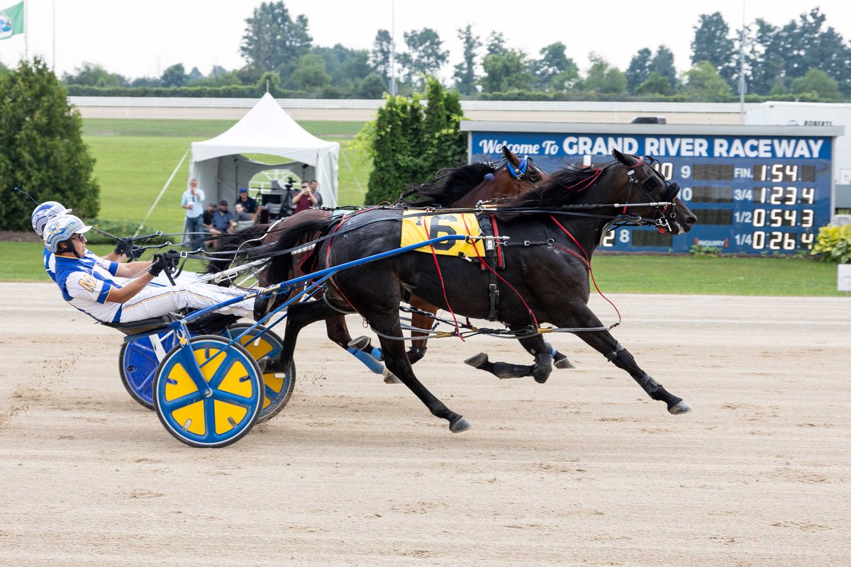 4 weeks until the 2025 race season...we can't wait to bring you an exciting experience from the track!
grandriverraceway.com

#horseracing #elora