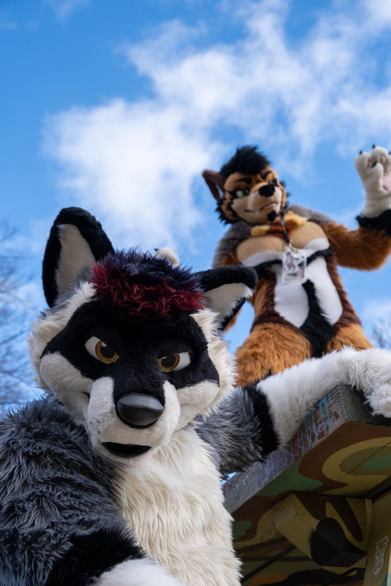 FE2025
When the trash animals link up. 
📸: <a href="/Mayelopup/">Mayelo🐱</a> 
🐺 <a href="/neokaitiger/">neokai</a>