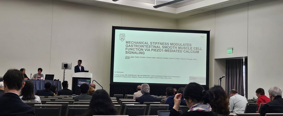 Rajan Singh (@rajan___singh) on Twitter photo Happening now!
🏛 Location: 28ABC - SDCC
#VikramJoshi <a href="/MayoClinicGIHep/">Mayo Clinic Gastroenterology & Hepatology</a> <a href="/BeyderLab/">BeyderLab</a> is sharing elegant study #PIEZO1 #SMC👏
<a href="/DDWMeeting/">Digestive Disease Week</a>
#DDW2025 Day2 #BeGusty <a href="/AmerGastroAssn/">American Gastroenterological Association (AGA)</a>
⏩️MECHANICAL STIFFNESS MODULATES GASTROINTESTINAL SMOOTH MUSCLE CELL FUNCTION VIA PIEZO1-MEDIATED Happening now!
🏛 Location: 28ABC - SDCC
#VikramJoshi <a href="/MayoClinicGIHep/">Mayo Clinic Gastroenterology & Hepatology</a> <a href="/BeyderLab/">BeyderLab</a> is sharing elegant study #PIEZO1 #SMC👏
<a href="/DDWMeeting/">Digestive Disease Week</a>
#DDW2025 Day2 #BeGusty <a href="/AmerGastroAssn/">American Gastroenterological Association (AGA)</a>
⏩️MECHANICAL STIFFNESS MODULATES GASTROINTESTINAL SMOOTH MUSCLE CELL FUNCTION VIA PIEZO1-MEDIATED