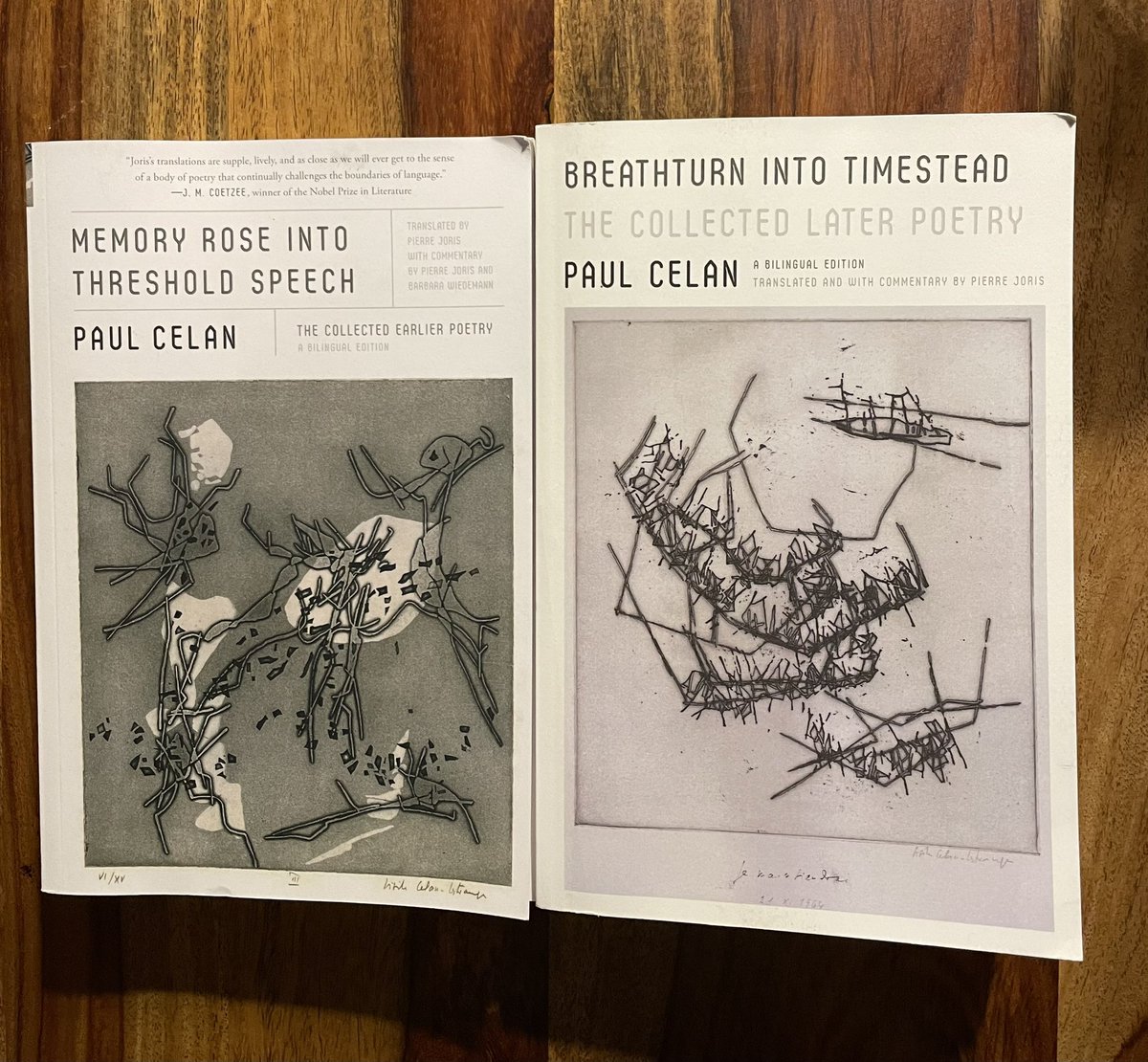 not a bad place to dig deep into these two big boys written by someone who pushed the German language near its limits, toward an unbridgeable gap