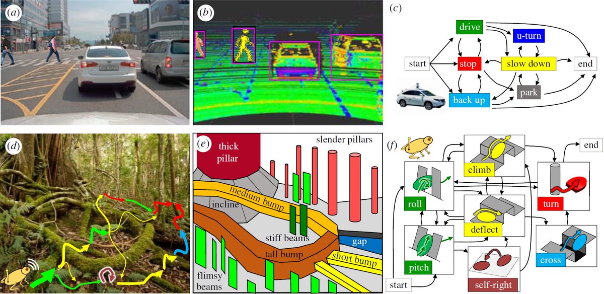 lichen98's tweet photo. Podcast - Locomotor Transitions over Potential Energy Landscapes in Complex 3-D Terrain: https://t.co/kR6ug0RUte
Learn more at: https://t.co/P1UH9KID6l https://t.co/jm61s90Xu7