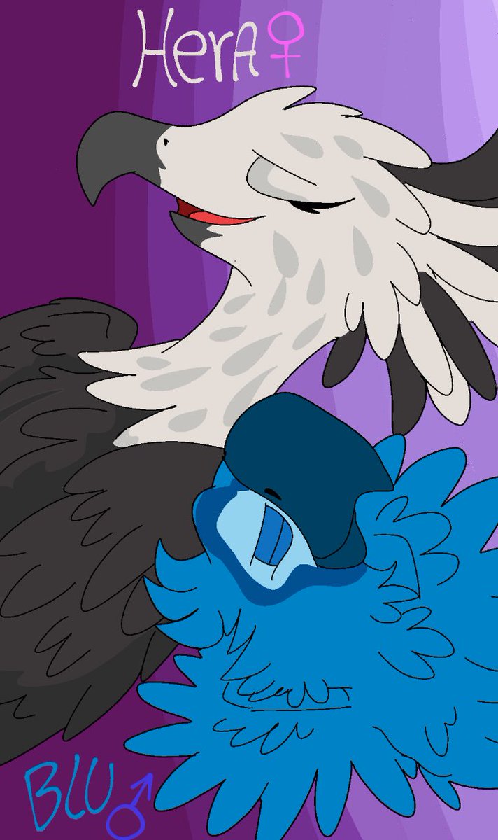 incomparable love of big and small [Hera&amp;Blu]-ay que tener fe en conseguir un amor asi personaje creado por <a href="/sasaru_yuki/">🪶~Yuki2437~🪶 (Comisiones Cerradas)</a> 
//Art Animates birds Alone Bassic//
#rio #shipping #fanart #art