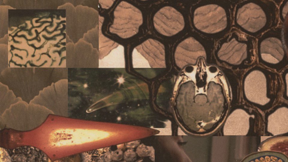 SĦɌɆĐĐɆɌ .ᐟ.ᐟ tweet media