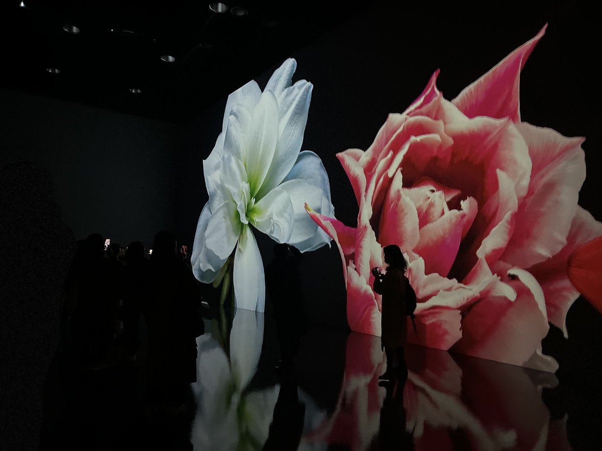 no130_studio's tweet photo. Flower is an immersive film projected at 360° in a room measuring 21m x 11m x 7m.
It can be seen in the Hwadamchae cultural centre (South Korea), located at the entrance to the Hwadam forest.

Artist &amp; conception: HeeWon Lee
Supervision: Hugo Arcier https://t.co/Q5vkPKon1L
