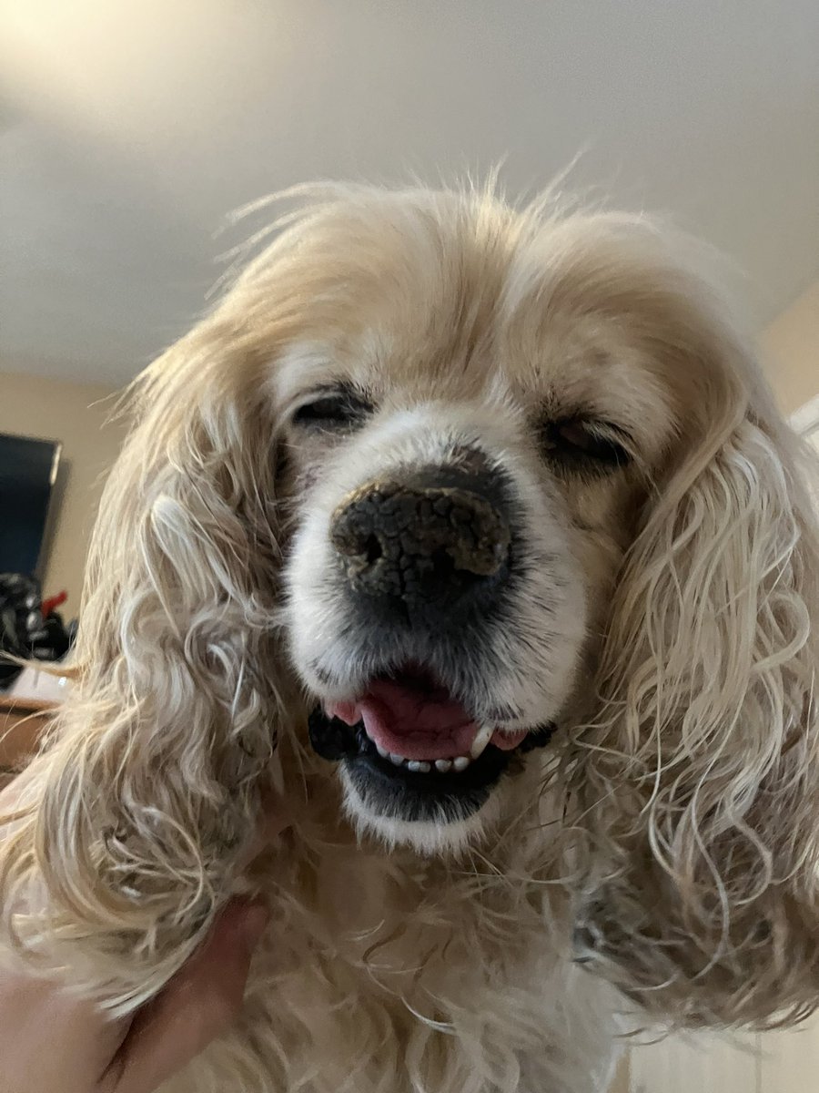 mattpodwysocki's tweet image. It’s been a tough year for Mari with her cancer but we have made it to her birthday! Some days are better than others and I can sincerely say Fuck Cancer! Here’s hoping to more days ahead with fingers crossed!