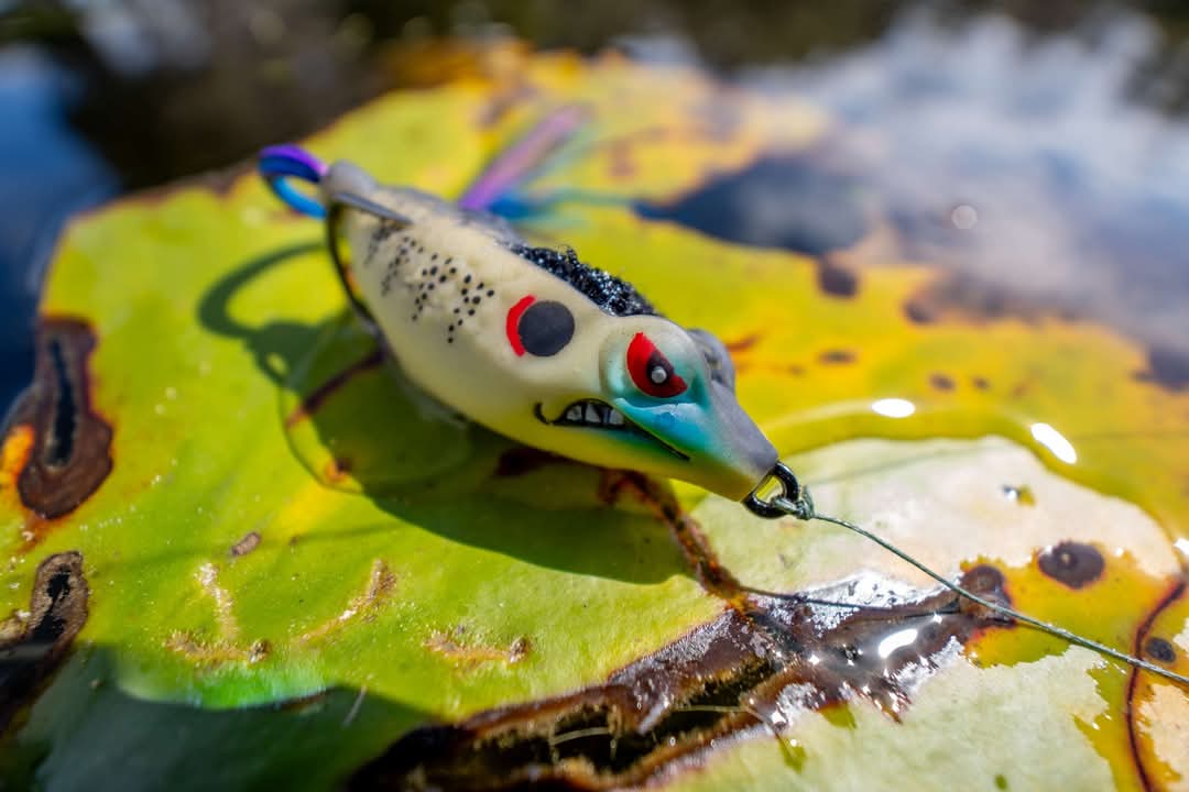Don't make the Boom Boom Frog angry. You won't like him when he's angry. 

#BoomBoomFrog
#bassmaster #BagwellFishing #bassfishing #fishing #topwaterlures ##topwaterfishing #illinoisfishing #iowafishing ##floridafishing ##texasfishing #thefrogfactory #gsmoutdoors
