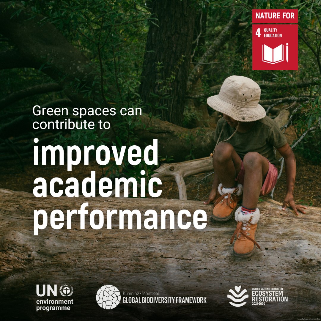 UN Biodiversity (@unbiodiversity) on Twitter photo 🌿 Protecting biodiversity is essential for education 📚
With 5 years left to meet the #GlobalGoals and the targets of the #KMGBF, we must pursue these universal agendas together to achieve harmony with nature and sustainable development.
#BiodiversityDay
<a href="/UNEP/">UN Environment Programme</a> 🌿 Protecting biodiversity is essential for education 📚
With 5 years left to meet the #GlobalGoals and the targets of the #KMGBF, we must pursue these universal agendas together to achieve harmony with nature and sustainable development.
#BiodiversityDay
<a href="/UNEP/">UN Environment Programme</a>