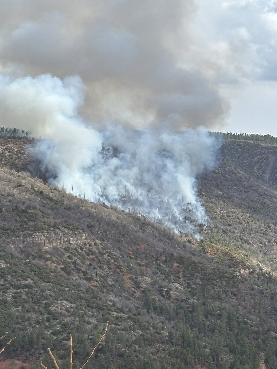 New Start, Arizona: The Ow Fire started in the Tonto National Forest west of the Airplane Flat Campground in the Payson Ranger District. Payson Hotshots, multiple engines, and Helitak are currently on scene, with the Black Mesa Hotshots en route. 

The fire was determined to be