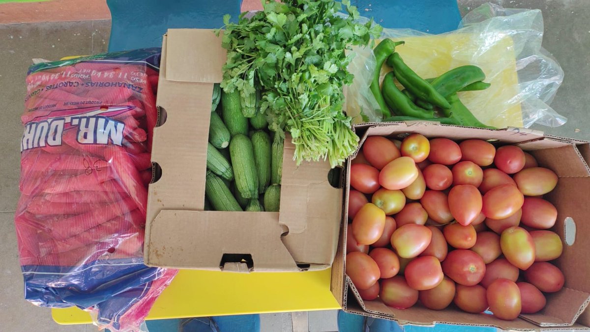 CulturaVerdeAC's tweet image. 📚♻️ ¡De libros y cartón… a alimentos con propósito! 🍅💚

El día miércoles 30 de abril realizamos una entrega a Reduce tu huella  de cartón, papel, libros y cuadernos recolectados gracias a su valioso apoyo. Estos residuos fueron transformados en $235 pesos, que se utilizaron…