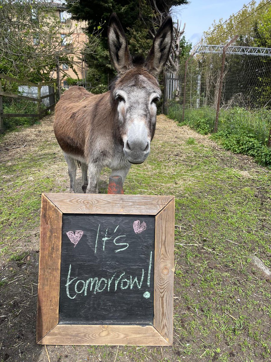 Kentish Town City Farm tweet media