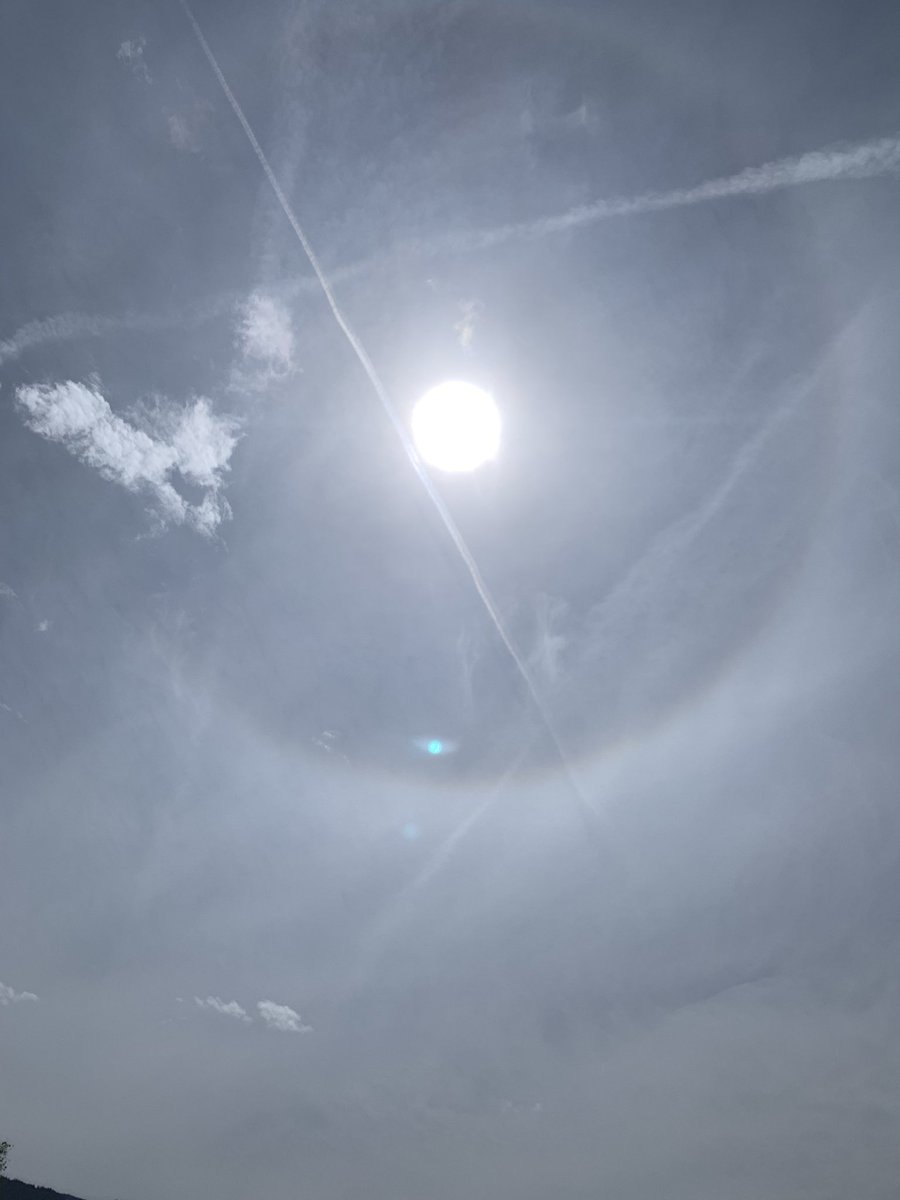 chris5005's tweet image. Acid drizzle in the morning then the sun peeked out for 5 minutes, then this. Where are you @DOGE #TheClearSkiesMovement #geoengineering #ABQ
