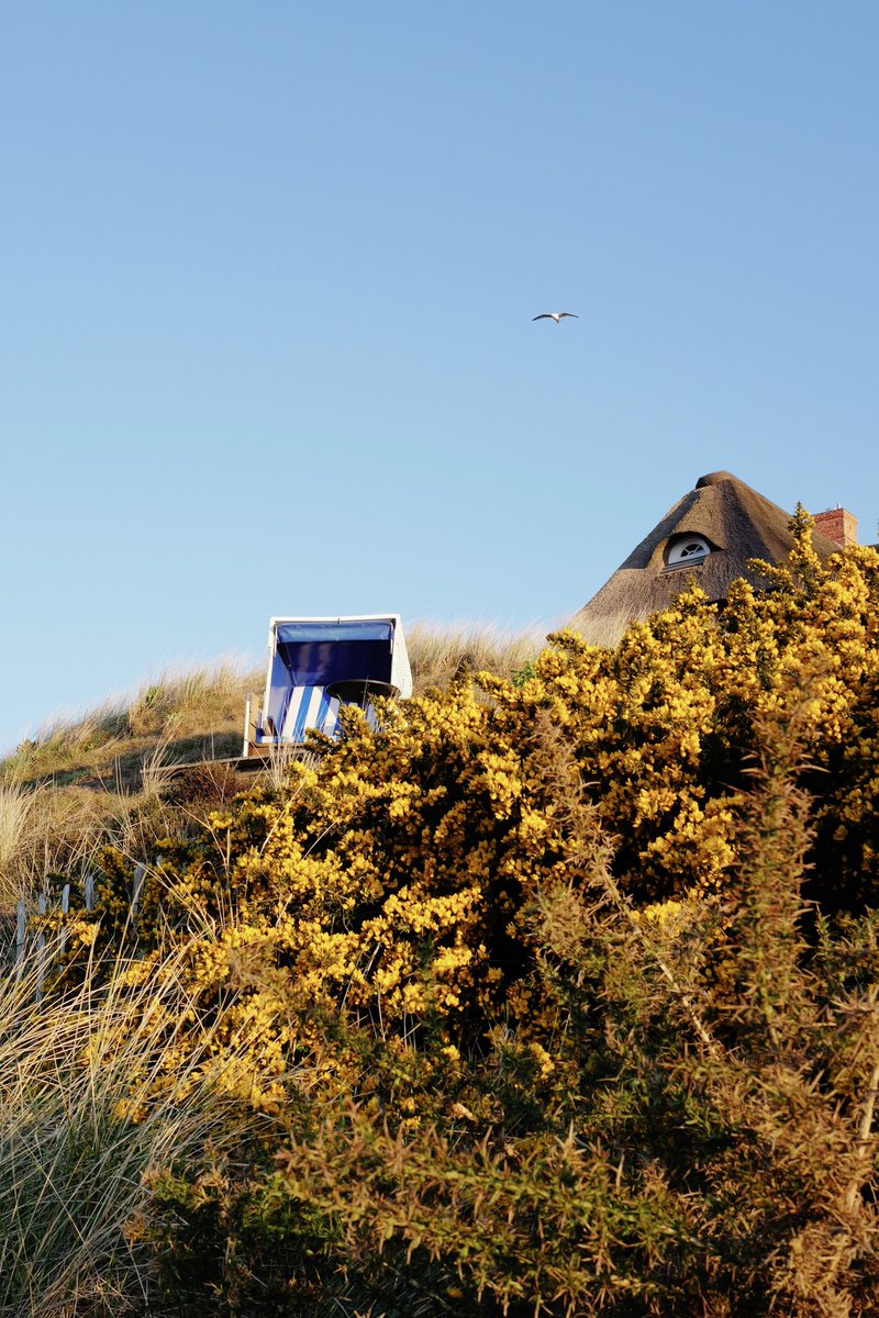 Frank Feil tweet media