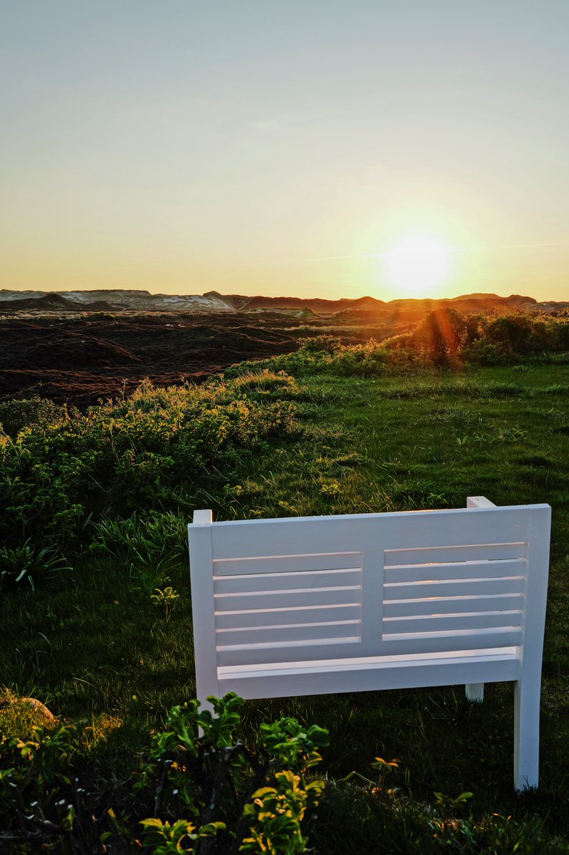 Frank Feil tweet media