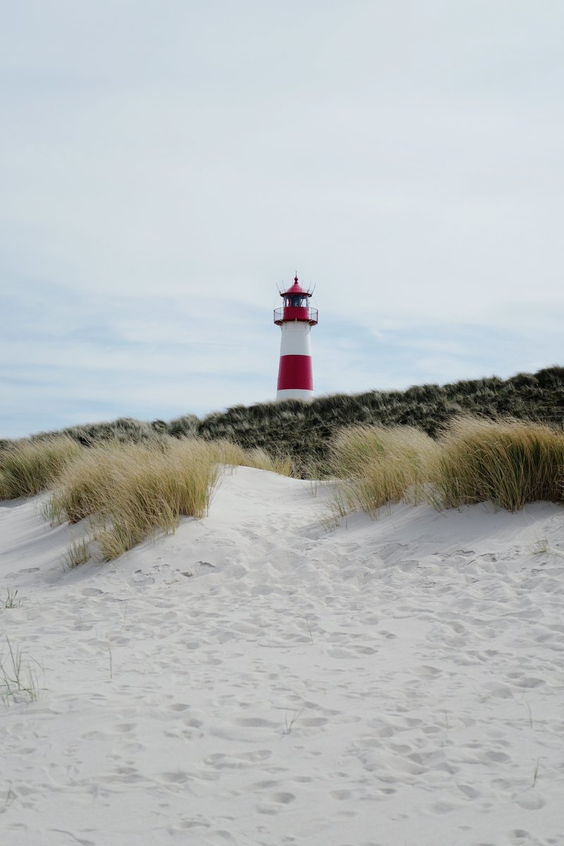 Frank Feil tweet media