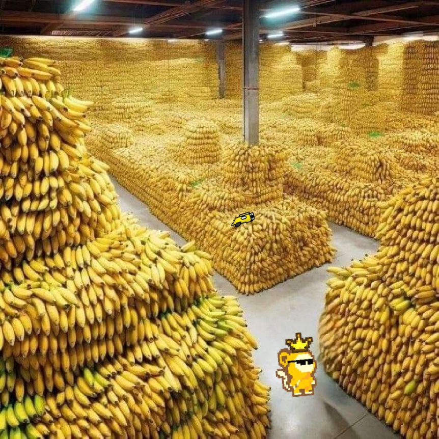 <a href="/LaughNowXRP/">LaughNowXRP</a> <a href="/XMONKEEMONKEE/">MONKEE MONKEE</a> Banana King has you covered. Bananas stacked and ready to go.