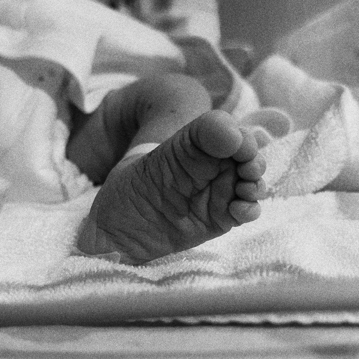 なぎしゃん tweet media