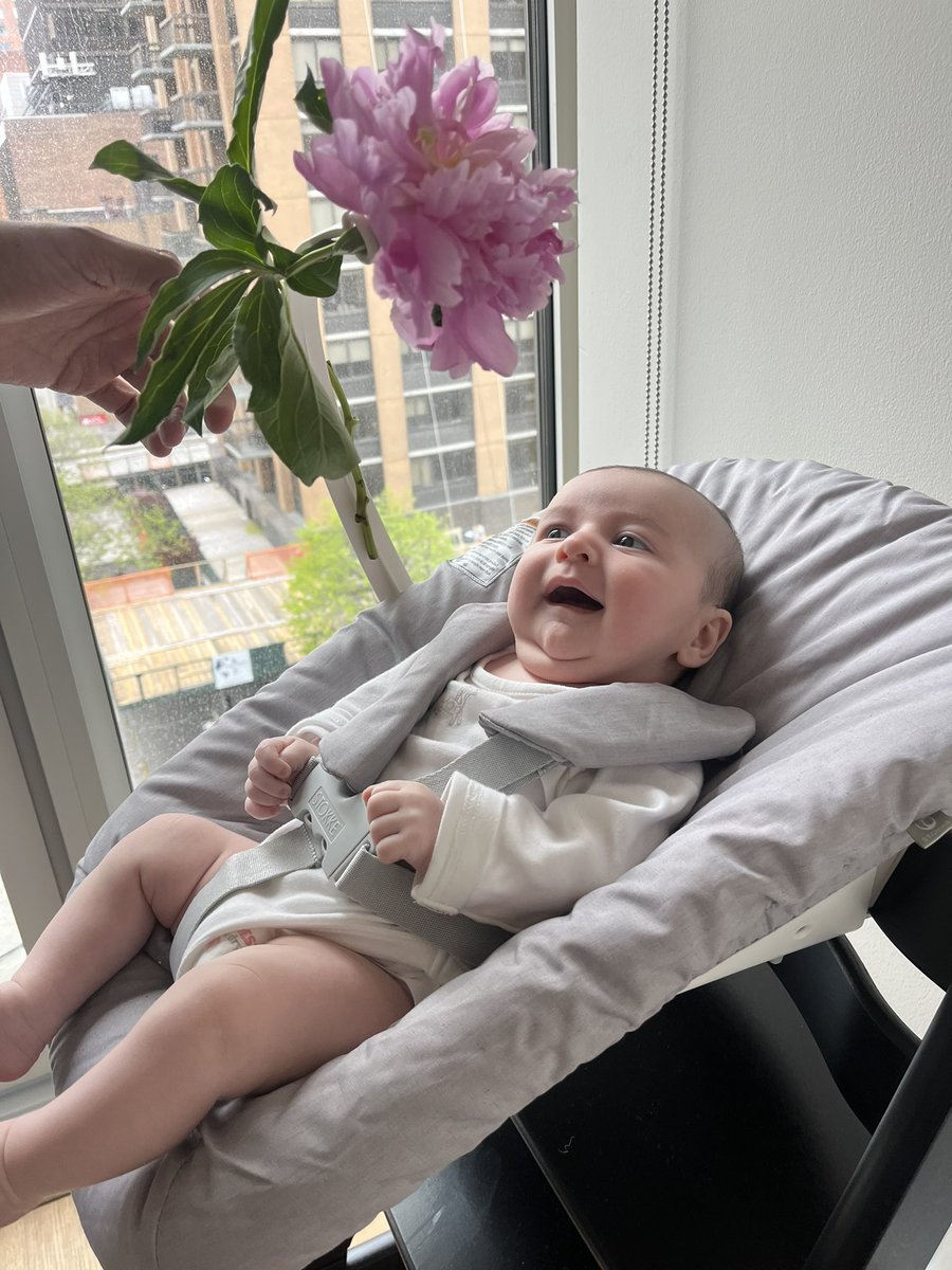 Victor Pontis tweet media