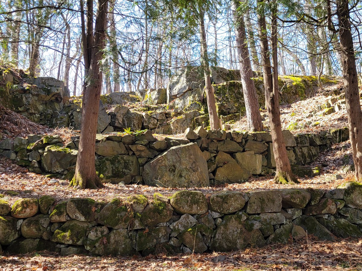 The Scholastica woods have a springtime beauty all of their own!