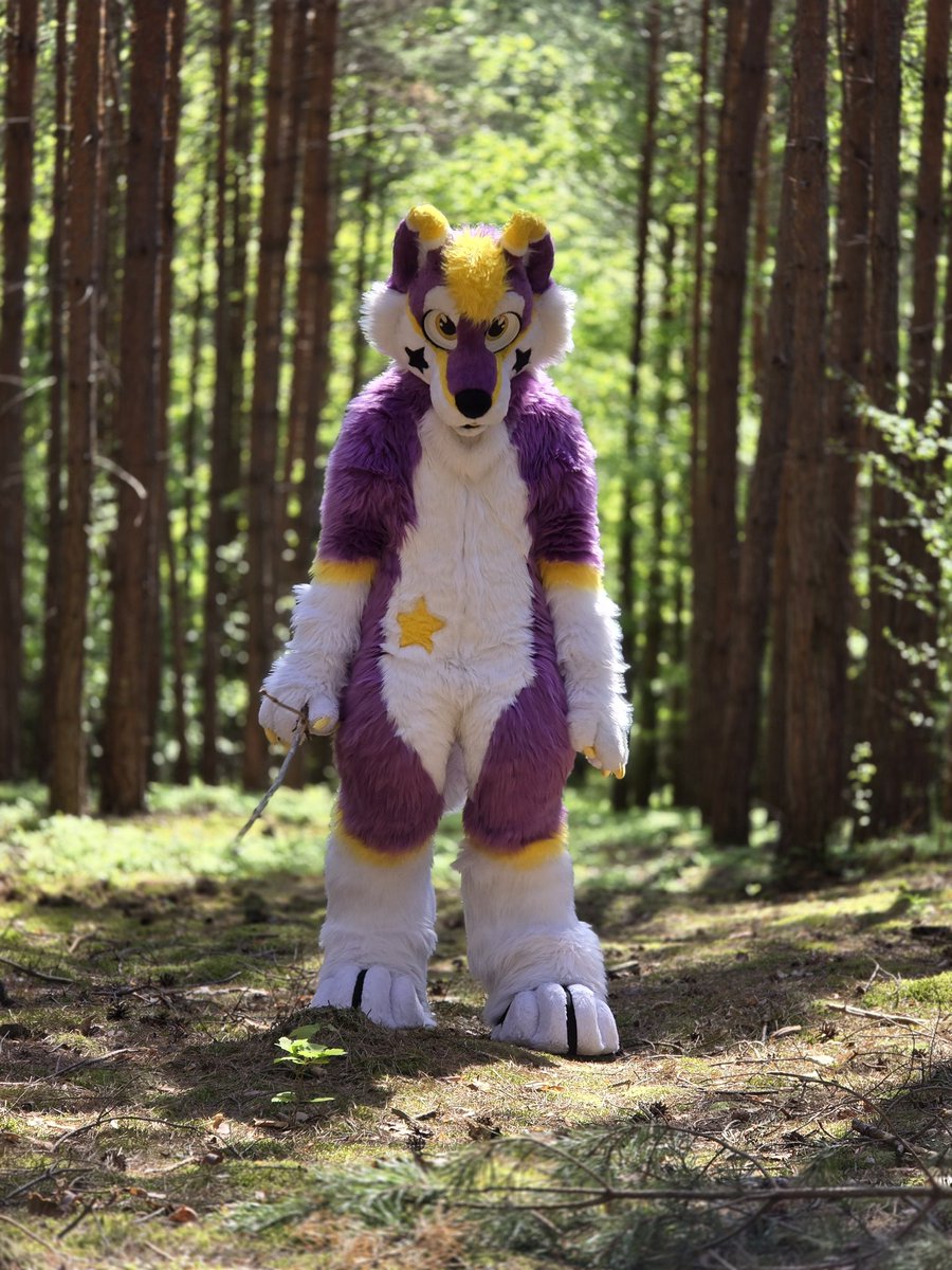 stop everything you’re doing and come play with sticks or else… 😓

✨ also finally home from #KRAZ, thanks everyone, it was amazing✨