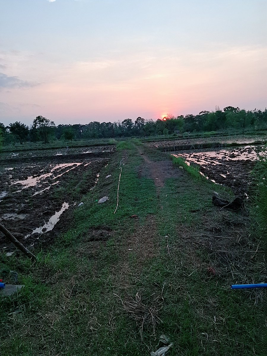 คืนนี้เรามานอนนาเอากันคางแข่งกับเสียงเขียดกันป่ะ@อุดรสามพร้าว