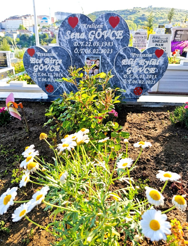 İyi ki doğdunuz, iyi ki VAR oldunuz..
Güzelliklerim...♥️
Prenseslerimin Annesi 
Kraliçem SENA
İyi ki Sen Oldun, 
İyi ki Seninle Oldu,

Her şeye rağmen 
İyi ki Siz Oldunuz...♥️♥️♥️