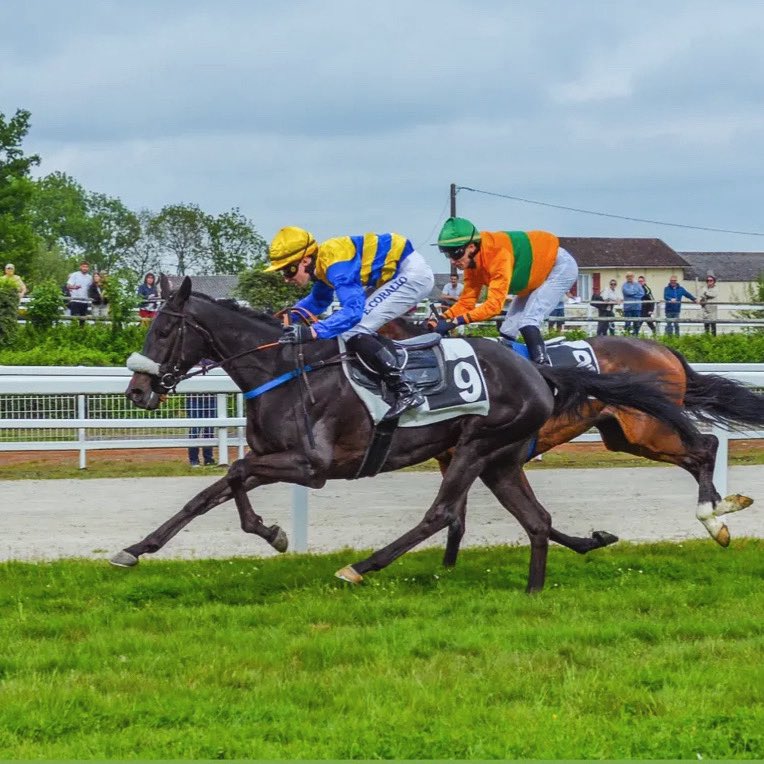 Leca de Thaix (Michel Bourgneuf) débute victorieusement ce dimanche à Limoges avec Enzo Corallo. Félicitations à toute l’équipe pour ce week-end avec 3 succès et tous les chevaux à l’arrivée ! 🥳