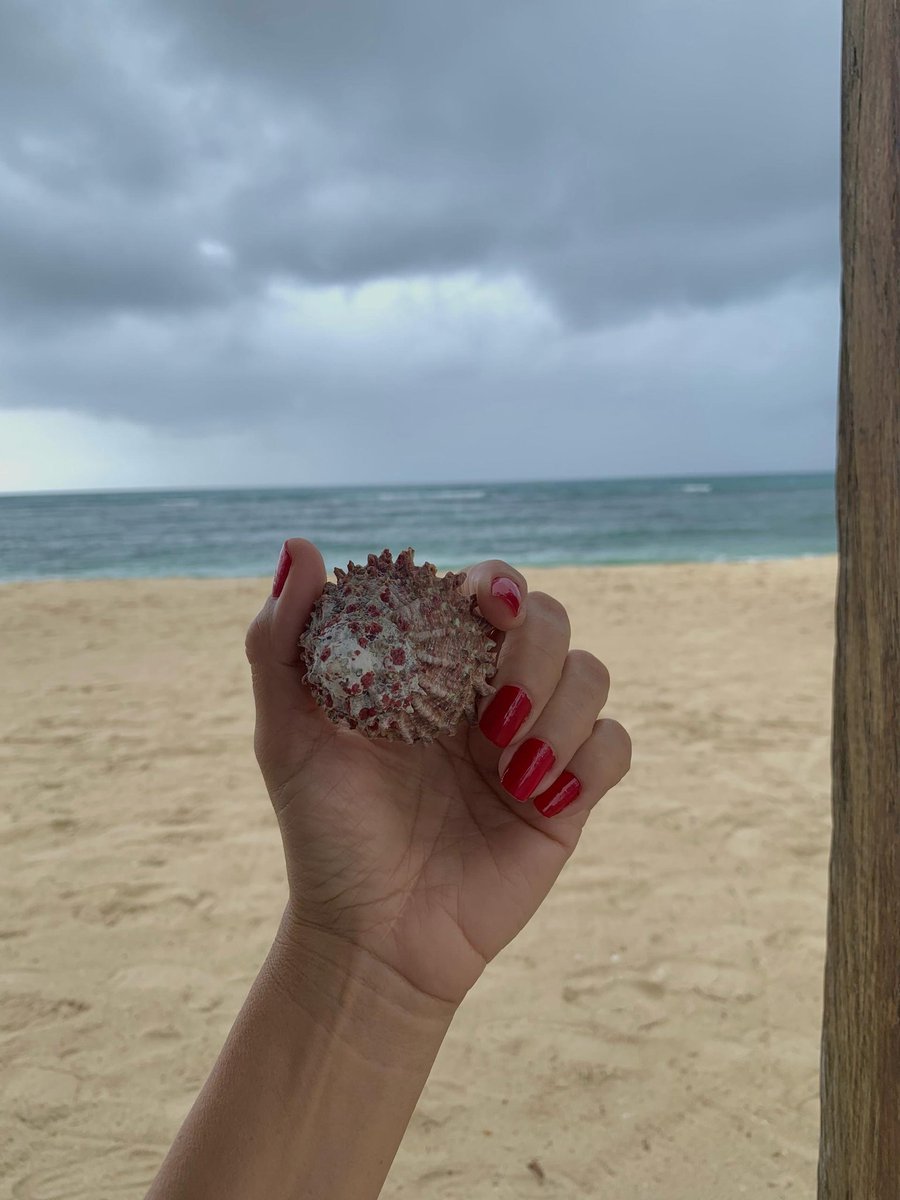 Mi lugar favorito. 💙
#beach 😎🌥🌴🌊🐚🪸