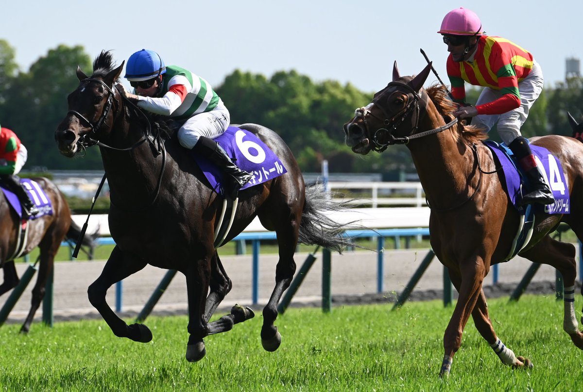 へデントール　メイクデビュー東京　現地単勝馬券　天皇賞・春制覇 へデントール メイクデビュー東京 現地単勝馬券 天皇賞・春制覇