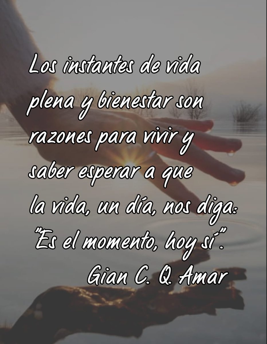 gomiquin's tweet image. 