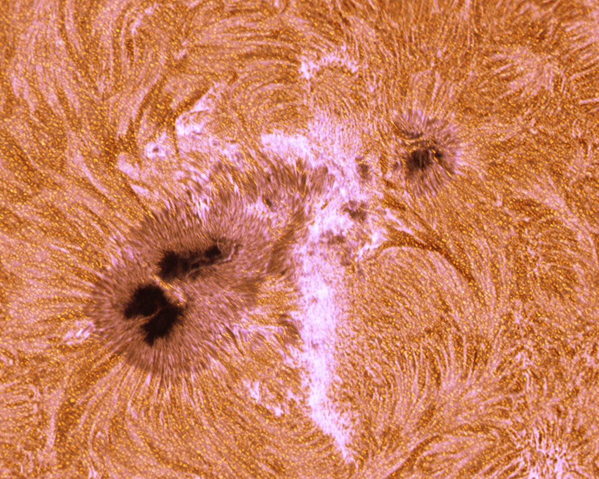 Andrew McCarthy tweet media