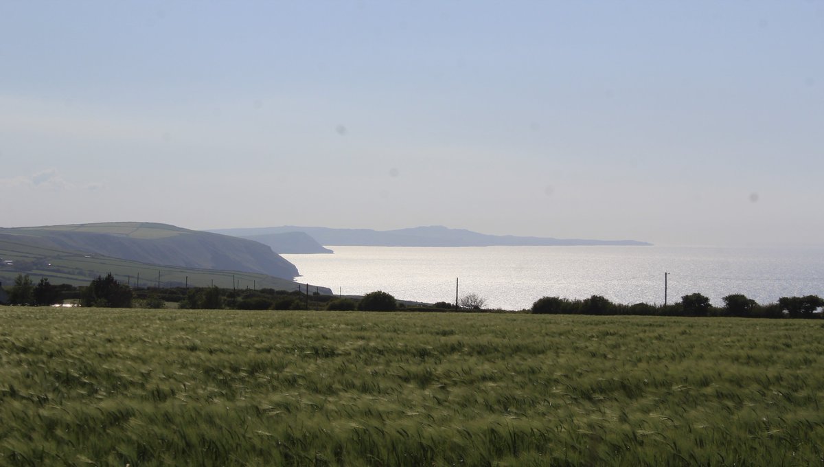 emlynevan's tweet photo. #BaeAbergwaun #FishguardBay 🏴☀️ https://t.co/Qjr4ANQqXM