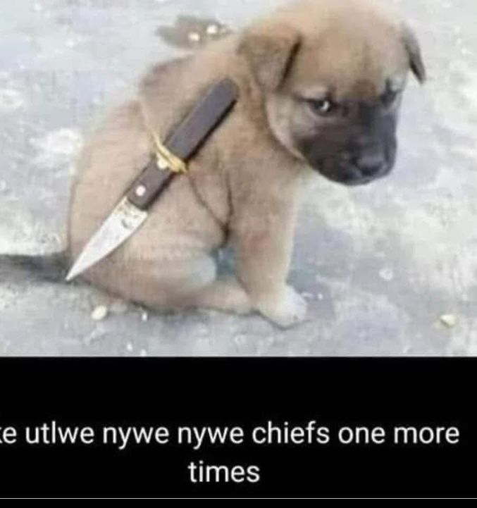 Dr Saddam Maake (@saddammaake) on Twitter photo 