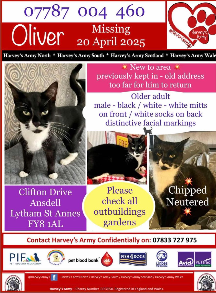OLIVER is an older adult black/white #cat who has been  #missing from #CliftonDrive #Ansdell #LythamStAnnes #FY8 area, since 20/4/25. Chipped &amp; neutered. Details on poster. ⬇️ #MissingCat #CatsOfTwitter #LostCat