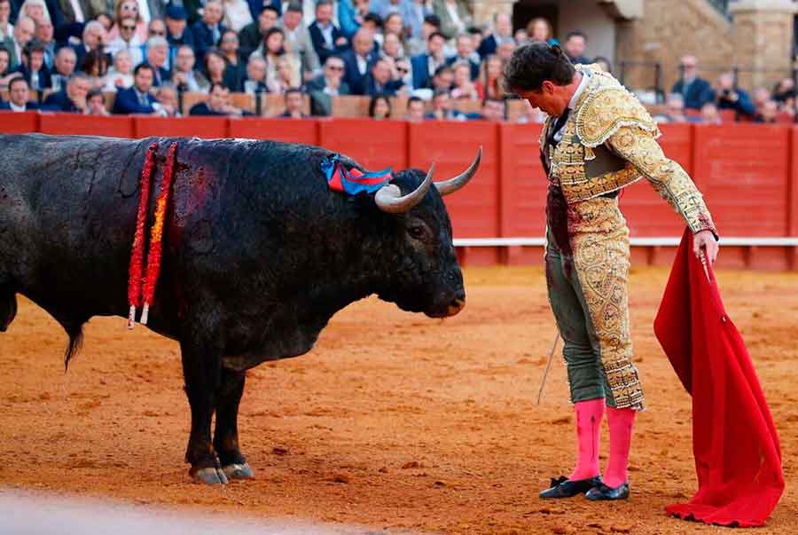 SEVILLA TAURINA (@sevillataurina) on Twitter photo CRÓNICA ST.- Escribano desoreja a un ‘victorino’ de vuelta (sevillataurina.com/2025/05/03/esc…) OPINIÓN ST.- "Sin opción al aburrimiento" <a href="/sevillataurina/">SEVILLA TAURINA</a> <a href="/ManoloVieraN/">Manolo Viera</a> <a href="/Toromedia12/">Toromedia</a> <a href="/isanchezmejias/">Ignacio Sánchez-Mejías</a> <a href="/maestranzapages/">La Maestranza-Pagés</a> <a href="/UTAMAESTRANZA/">Unión Taurina de Abonados y Aficionados de Sevilla</a> <a href="/carruseltaurino/">carrusel taurino</a>
<a href="/MJElCid/">Manuel Jesús Cid</a> <a href="/InfoDanielLuque/">Daniel Luque</a> <a href="/InfoMESCRIBANO/">Manuel Escribano</a> CRÓNICA ST.- Escribano desoreja a un ‘victorino’ de vuelta (sevillataurina.com/2025/05/03/esc…) OPINIÓN ST.- "Sin opción al aburrimiento" <a href="/sevillataurina/">SEVILLA TAURINA</a> <a href="/ManoloVieraN/">Manolo Viera</a> <a href="/Toromedia12/">Toromedia</a> <a href="/isanchezmejias/">Ignacio Sánchez-Mejías</a> <a href="/maestranzapages/">La Maestranza-Pagés</a> <a href="/UTAMAESTRANZA/">Unión Taurina de Abonados y Aficionados de Sevilla</a> <a href="/carruseltaurino/">carrusel taurino</a>
<a href="/MJElCid/">Manuel Jesús Cid</a> <a href="/InfoDanielLuque/">Daniel Luque</a> <a href="/InfoMESCRIBANO/">Manuel Escribano</a>