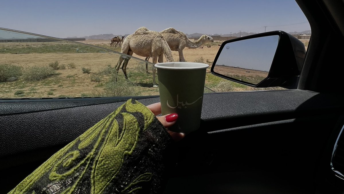 S (@syu8s) on Twitter photo 