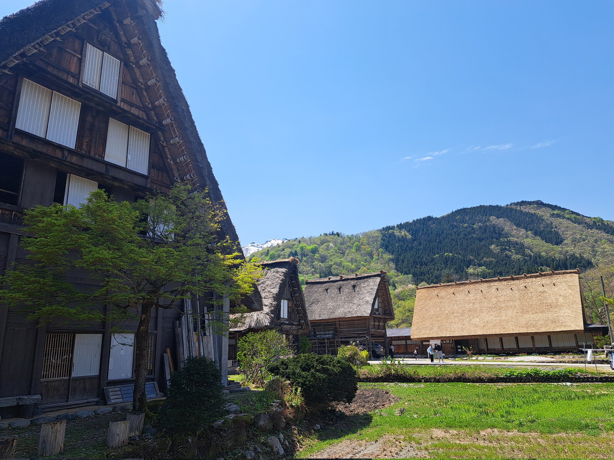 適切な価格 白川郷 圭ちゃん  X: on 日本酒