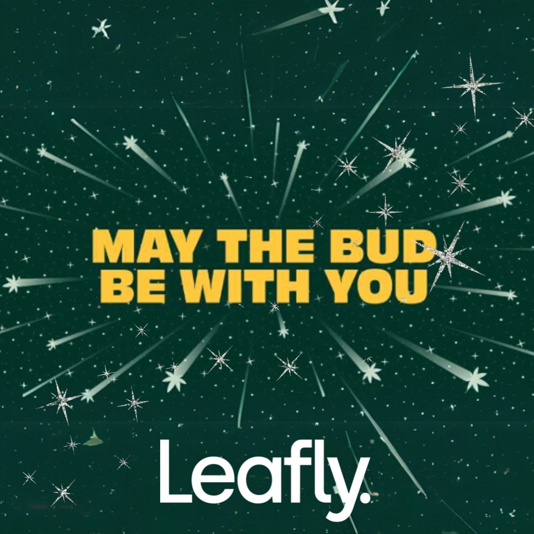 Leafly's tweet image. May the bud be with you. Enjoy some galactic green and lift off to a galaxy far, far away. bit.ly/4d5AUtV