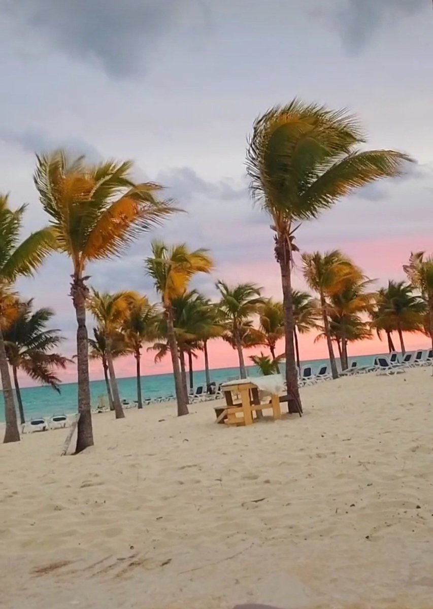 I finally reached 3k followers 🥳

Thanks everyone I truly appreciate every single one of you!

#gorklon $gork $gr $gm $boopa $boop $house $troll $mvg $higher $looks