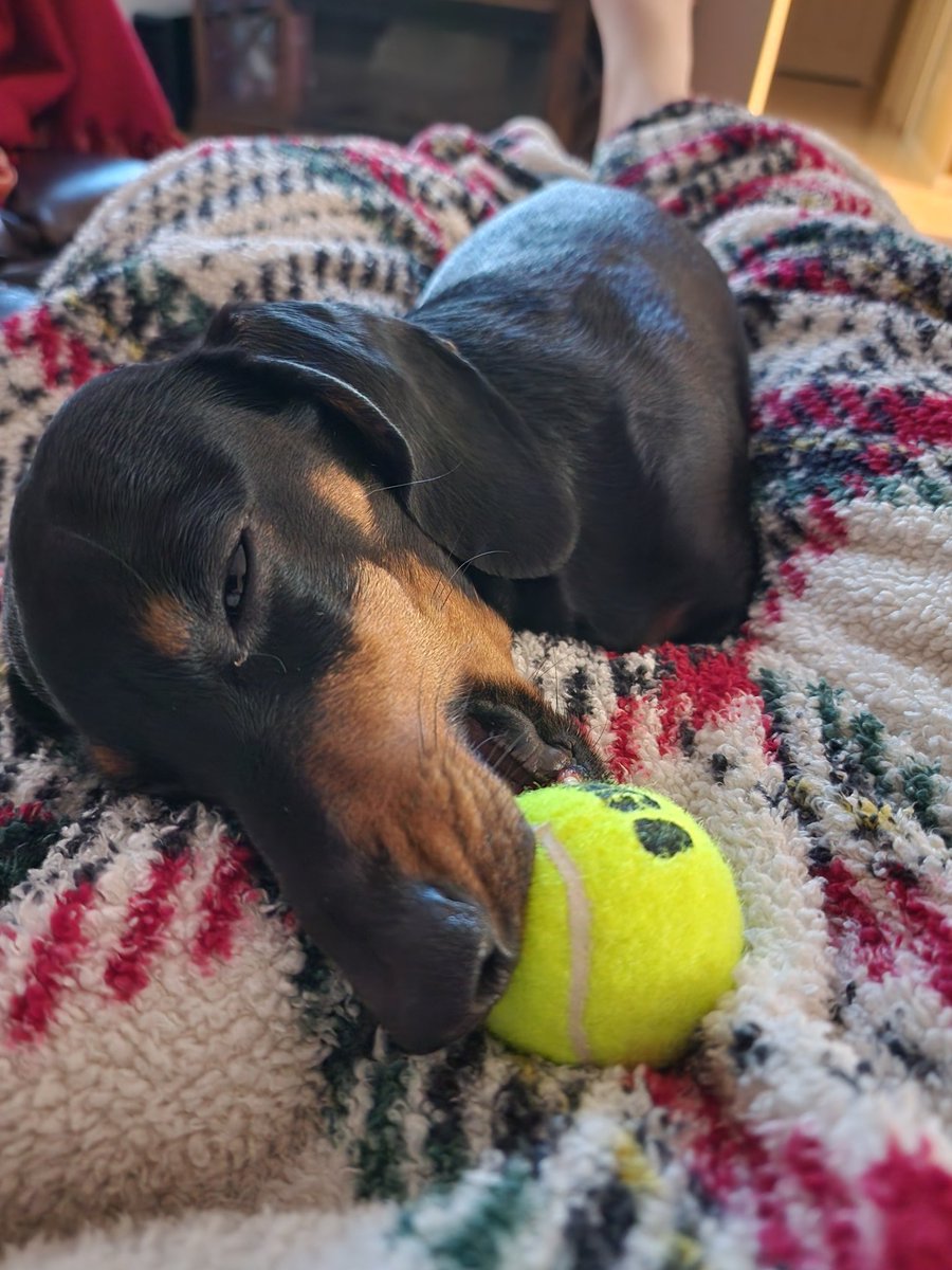 Tired schnout