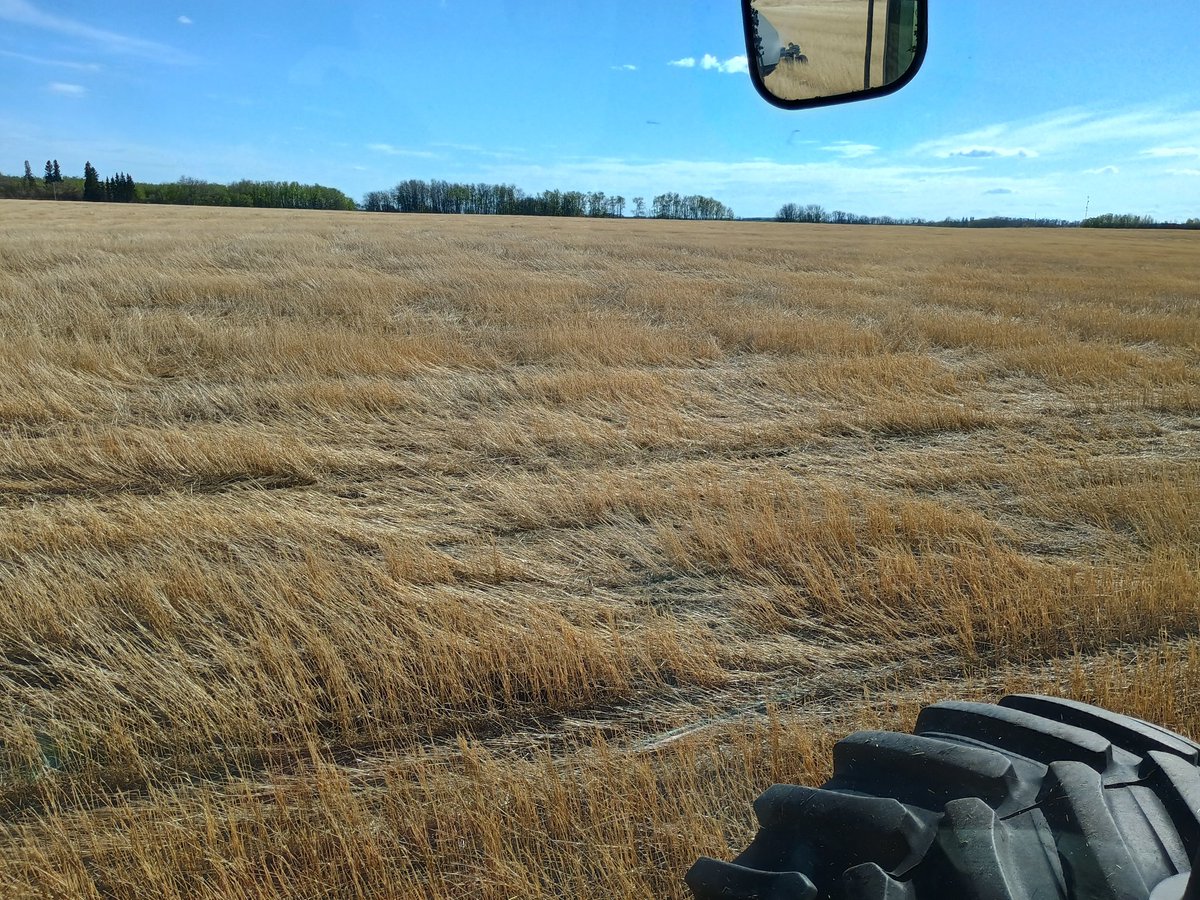 Chance of soil erosion from wind and water after seeding? 0.6%