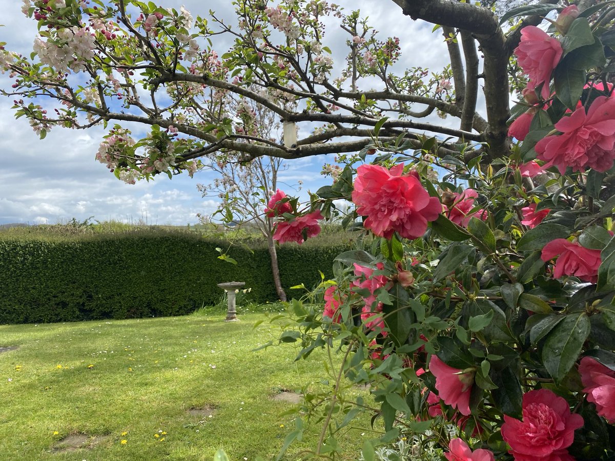 Because there’s a lot of nastiness, but then there’s this