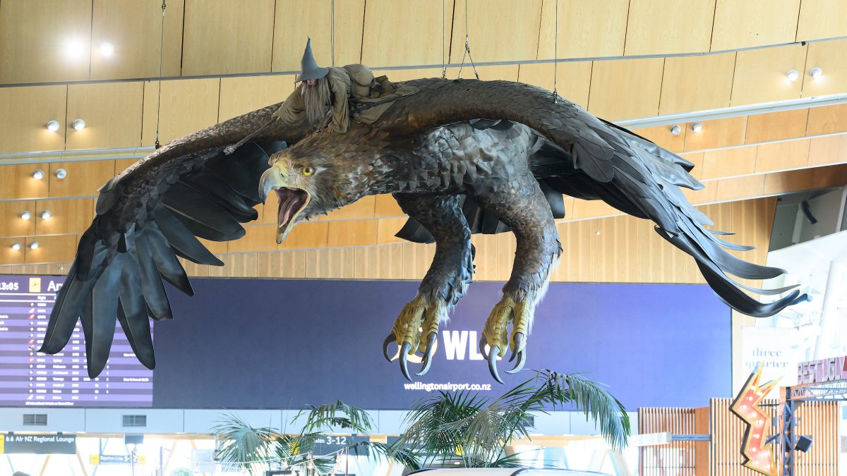 🦅 FAREWELL EAGLES: It's the end of an era this Friday as our two great eagles (and Gandalf) will be flying into the sunset. It's going to be emotional, but after 12 years the time is right. We're working with Wētā Workshop on a new, unique and locally themed replacement.