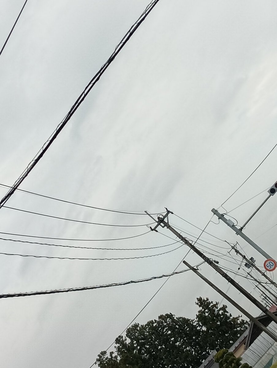 offbbqred's tweet image. ヤベェ~~！
エッホエッホエッホエッホ
みんなに寝坊したって
伝えなきゃ💦
エッホ
みんなに伝えなきゃ💦💦